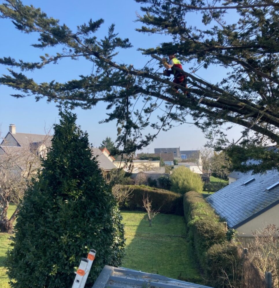 Amis Des Jardins Paysagiste Granville SLIDER 3